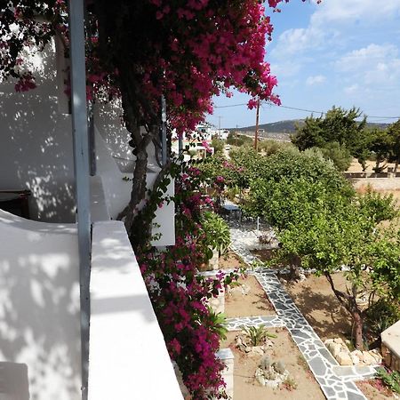 Studios Nina Αμμοοπή Εξωτερικό φωτογραφία